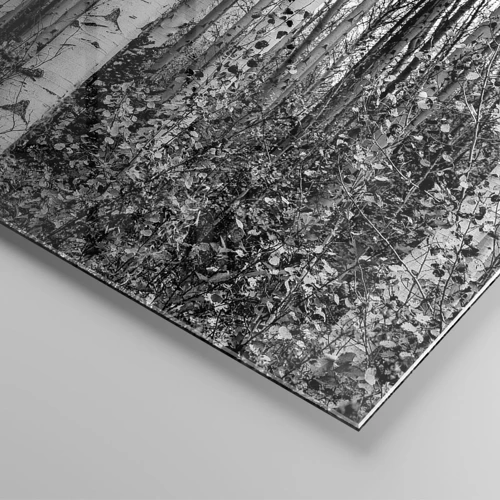 Obraz na skle - Brezová kolonáda - 80x120 cm