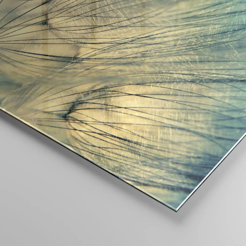 Obraz na skle - Čakanie na vietor - 120x50 cm