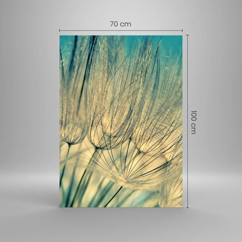 Obraz na skle - Čakanie na vietor - 70x100 cm