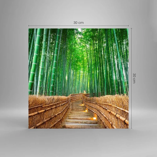 Obraz na skle - Esencia ázijskej prírody - 30x30 cm