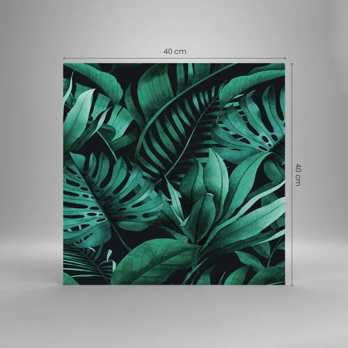 Obraz na skle - Hĺbka tropickej zelene - 40x40 cm