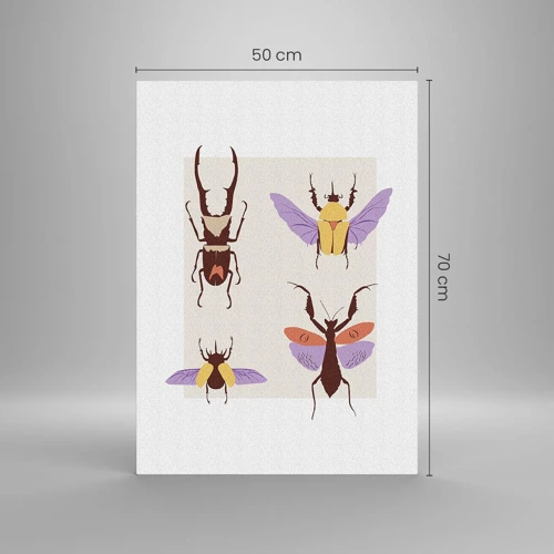 Obraz na skle - Hmyzí svet - 50x70 cm