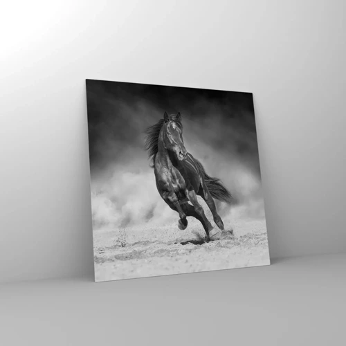 Obraz na skle - Hodné samotného emira - 70x70 cm