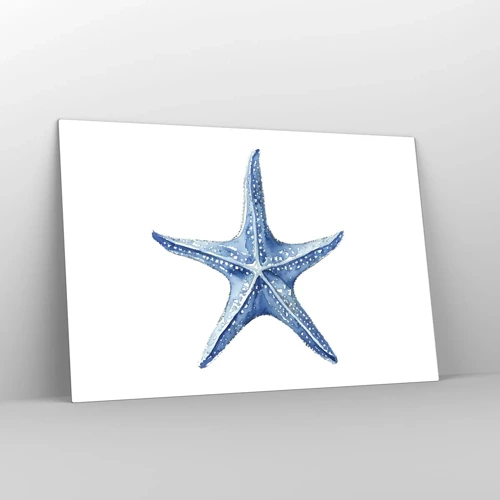 Obraz na skle - Hviezda mora - 120x80 cm