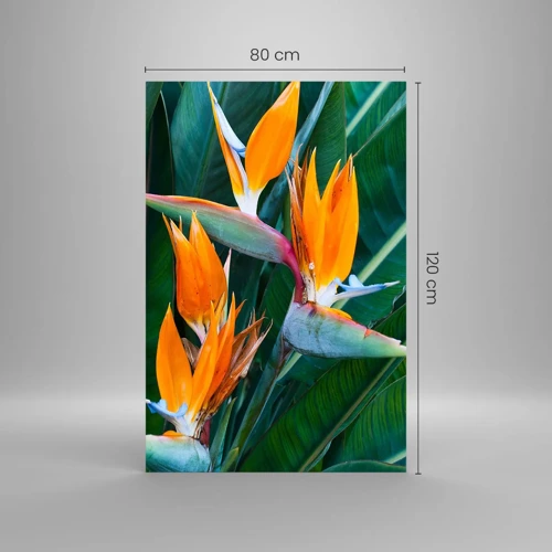 Obraz na skle - Je to kvetina, alebo vták? - 80x120 cm