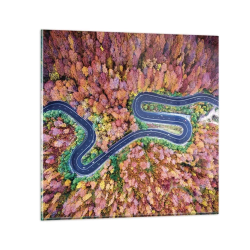 Obraz na skle - Kľukatá cesta lesom - 40x40 cm