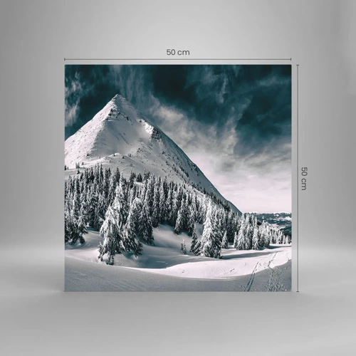 Obraz na skle - Krajina snehu a ľadu - 50x50 cm