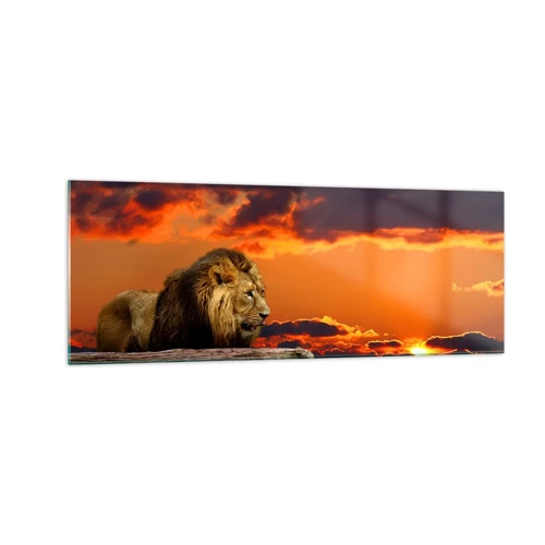 Obraz na skle - Kráľ prírody - 140x50 cm