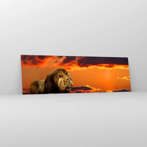 Obraz na skle - Kráľ prírody - 160x50 cm