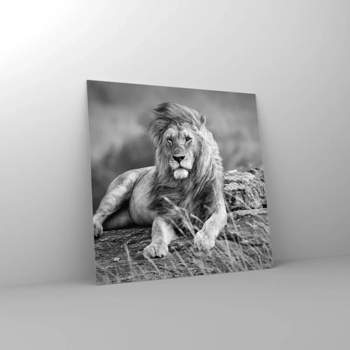 Obraz na skle - Kráľovská siesta - 30x30 cm