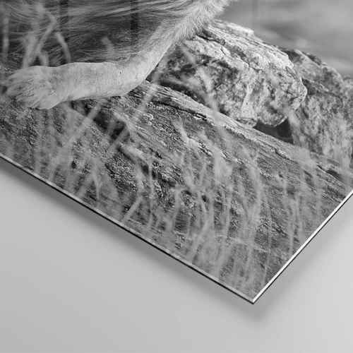 Obraz na skle - Kráľovská siesta - 30x30 cm