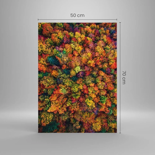 Obraz na skle - Kytica jesenných stromov - 50x70 cm