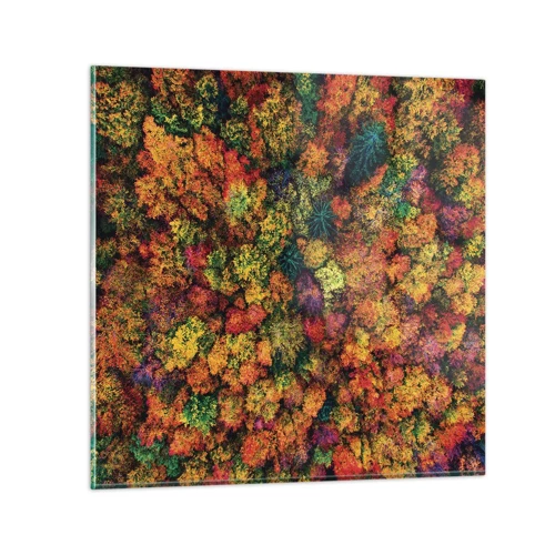 Obraz na skle - Kytica jesenných stromov - 70x70 cm