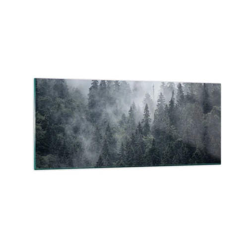Obraz na skle - Lesné svitania - 120x50 cm