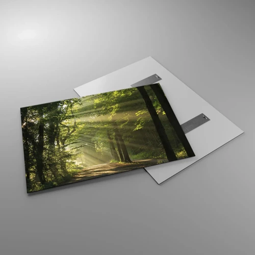Obraz na skle - Lesný okamih - 100x70 cm