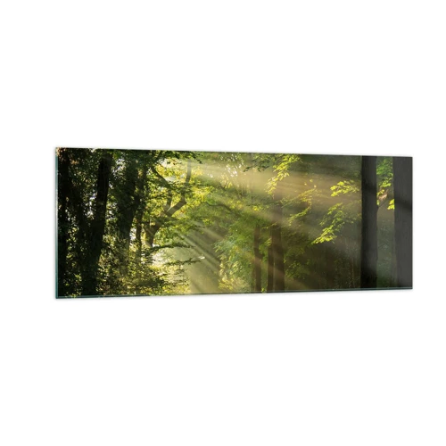 Obraz na skle - Lesný okamih - 140x50 cm