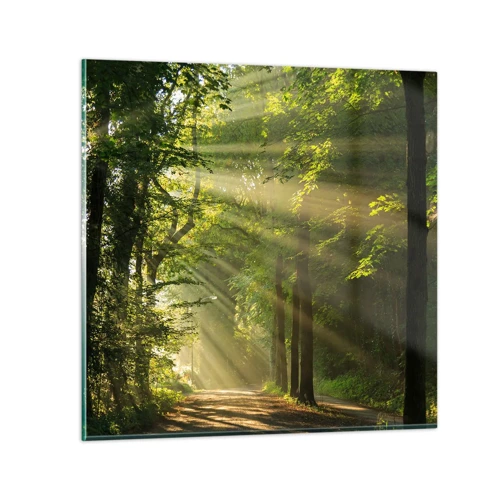 Obraz na skle - Lesný okamih - 30x30 cm
