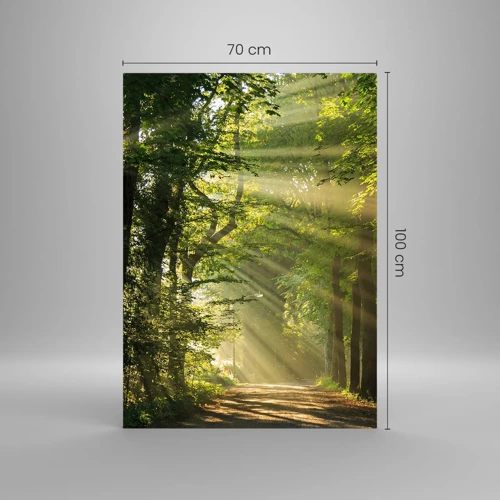 Obraz na skle - Lesný okamih - 70x100 cm