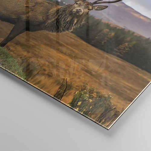 Obraz na skle - Majestát prírody - 100x70 cm