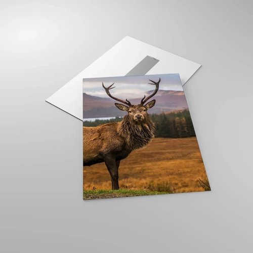 Obraz na skle - Majestát prírody - 50x70 cm