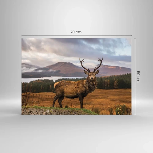 Obraz na skle - Majestát prírody - 70x50 cm