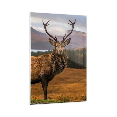 Obraz na skle - Majestát prírody - 80x120 cm