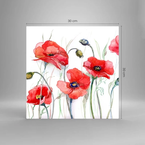 Obraz na skle - Poľské kvety - 30x30 cm