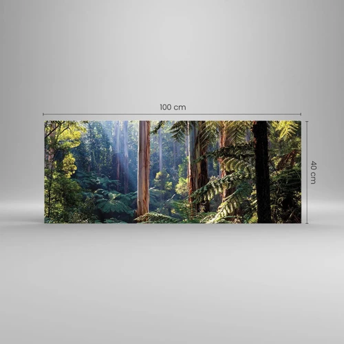 Obraz na skle - Poviedka lesa - 100x40 cm