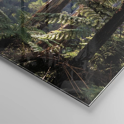 Obraz na skle - Poviedka lesa - 100x70 cm