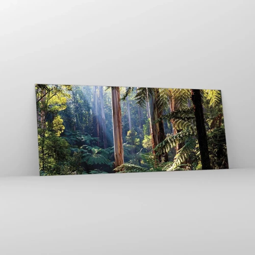 Obraz na skle - Poviedka lesa - 120x50 cm