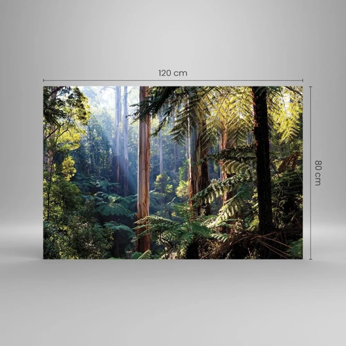 Obraz na skle - Poviedka lesa - 120x80 cm