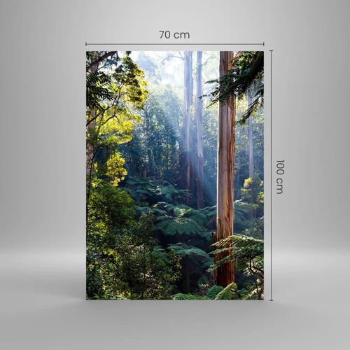 Obraz na skle - Poviedka lesa - 70x100 cm