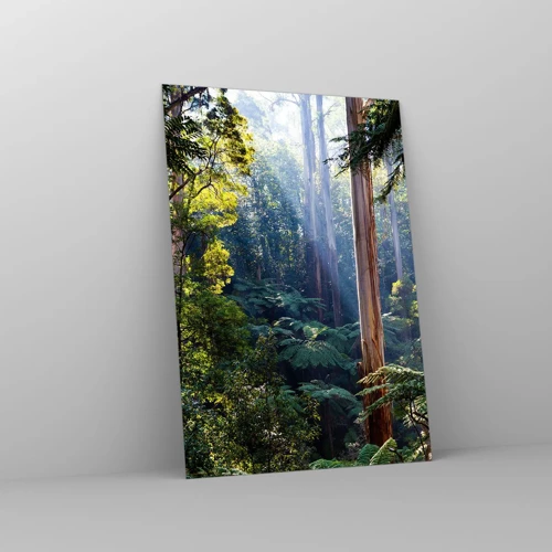 Obraz na skle - Poviedka lesa - 70x100 cm