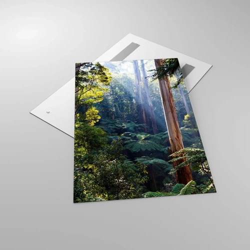 Obraz na skle - Poviedka lesa - 80x120 cm