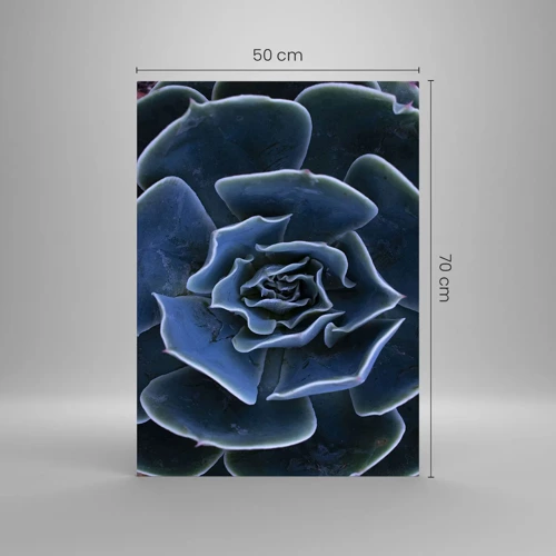 Obraz na skle - Púštny kvet - 50x70 cm