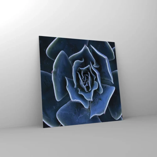 Obraz na skle - Púštny kvet - 70x70 cm