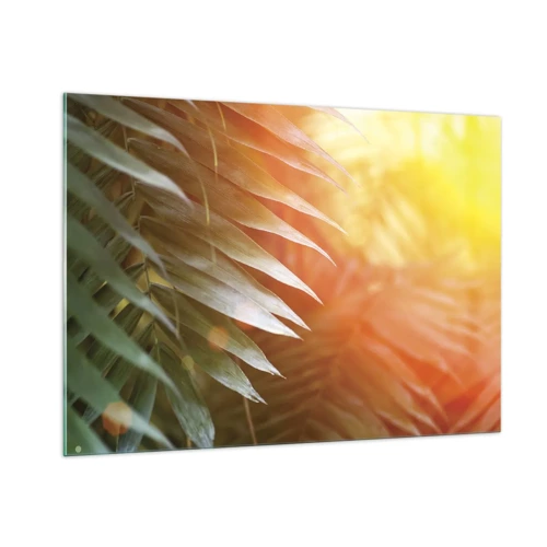 Obraz na skle - Ráno v džungli - 100x70 cm