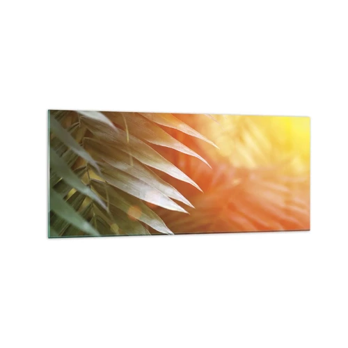 Obraz na skle - Ráno v džungli - 120x50 cm
