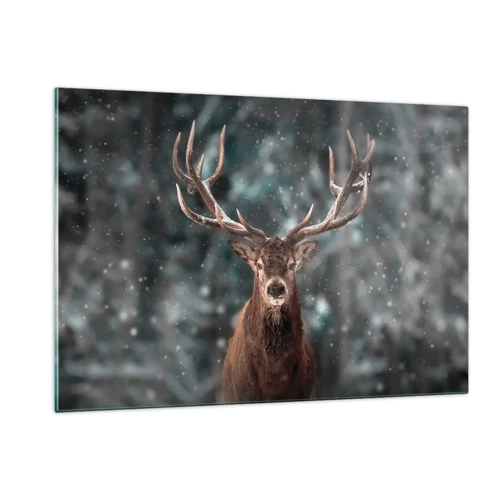 Obraz na skle - Skutočný kráľ lesa - 120x80 cm