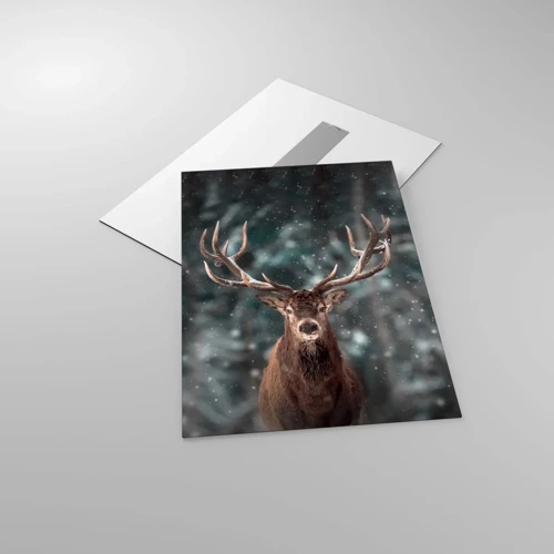 Obraz na skle - Skutočný kráľ lesa - 50x70 cm