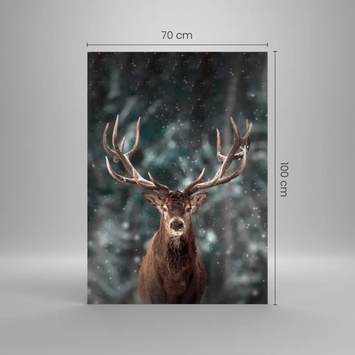 Obraz na skle - Skutočný kráľ lesa - 70x100 cm