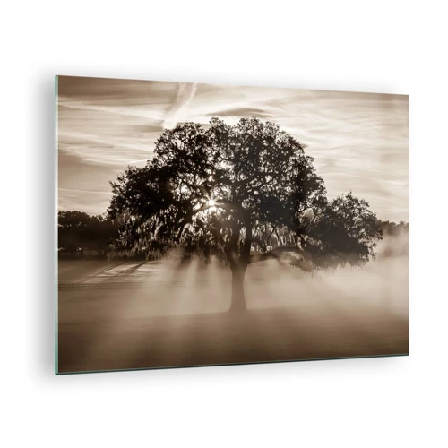 Obraz na skle - Strom správ samotného dobra - 70x50 cm