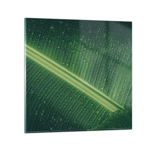 Obraz na skle - Štruktúra zelenej - 40x40 cm
