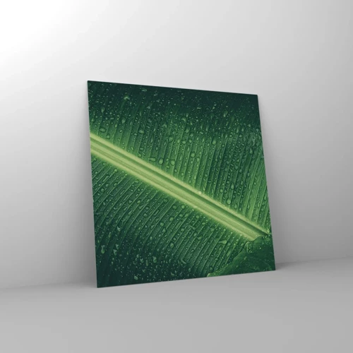 Obraz na skle - Štruktúra zelenej - 40x40 cm