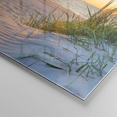 Obraz na skle - Šumenie mora, spev vtákov, divoká pláž uprostred trávy… - 40x40 cm