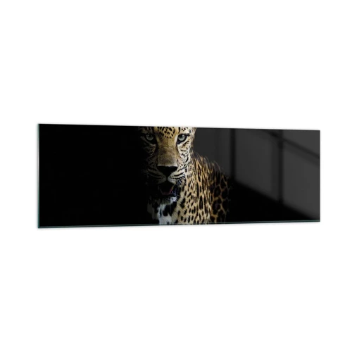 Obraz na skle - Temná krása - 160x50 cm