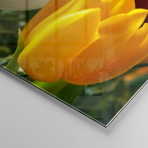 Obraz na skle - Tulipánová horúčka - 100x40 cm