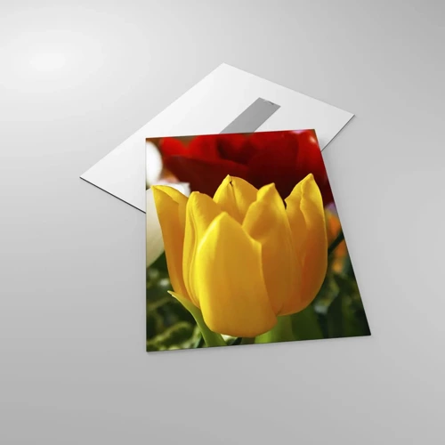 Obraz na skle - Tulipánová horúčka - 50x70 cm