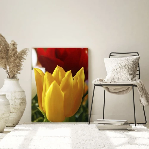 Obraz na skle - Tulipánová horúčka - 70x100 cm