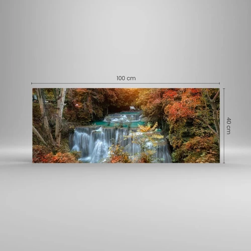 Obraz na skle - Ukrytý poklad lesa - 100x40 cm